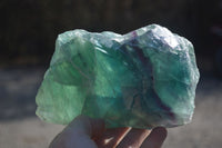 Polished Watermelon Fluorite Slices  x 2 From Uis, Namibia