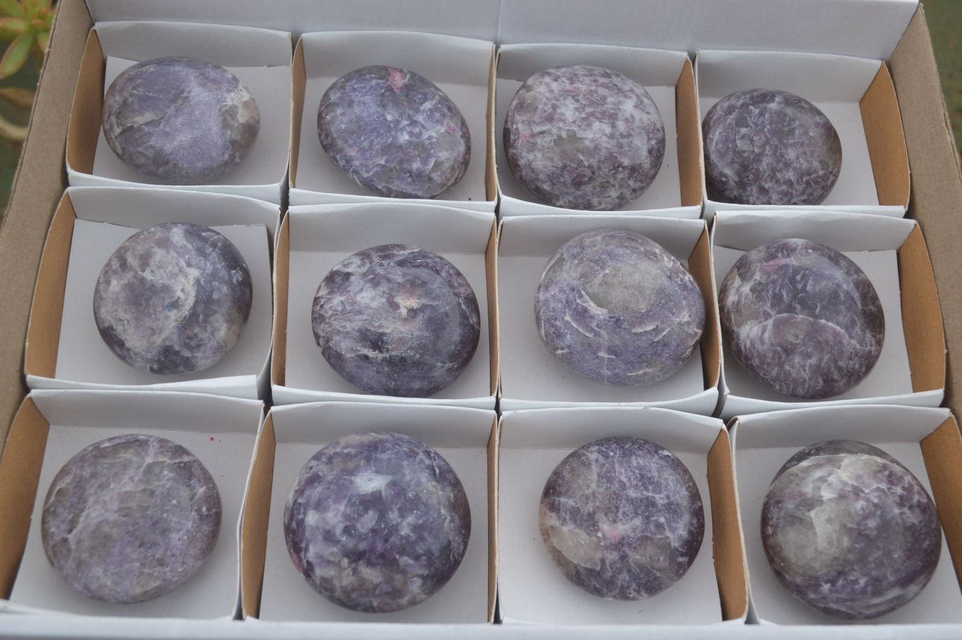 Polished Purple Lepidolite With Pink Tourmaline Points  x 12 From Madagascar - TopRock