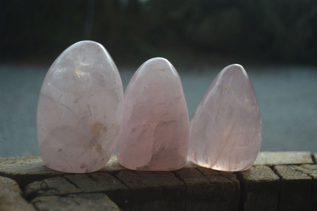 Polished Pink Rose Quartz Standing Free Forms  x 4 From Madagascar - Toprock Gemstones and Minerals 