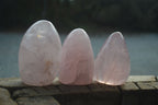 Polished Pink Rose Quartz Standing Free Forms  x 4 From Madagascar - Toprock Gemstones and Minerals 