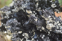 Natural Schorl Black Tourmaline Specimens x 2 From Erongo Mountains, Namibia - TopRock