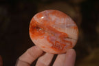 Polished Mixed Selection Of Galet / Palm Stones x 21 From South Africa - Toprock Gemstones and Minerals 
