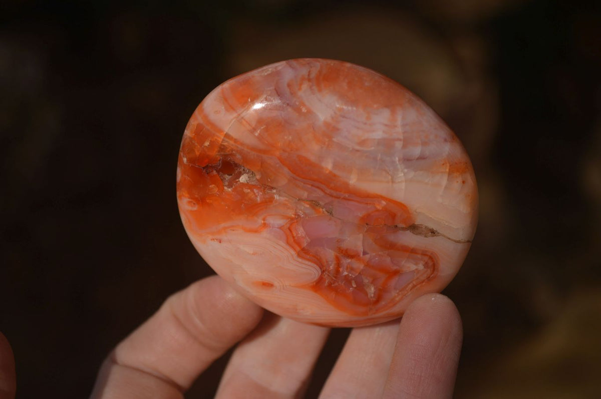 Polished Mixed Selection Of Galet / Palm Stones x 21 From South Africa - Toprock Gemstones and Minerals 