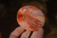 Polished Mixed Selection Of Galet / Palm Stones x 21 From South Africa - Toprock Gemstones and Minerals 