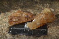 Natural Honey Aragonite Etched & Cobbed Pieces  x 12 From Namibia - Toprock Gemstones and Minerals 