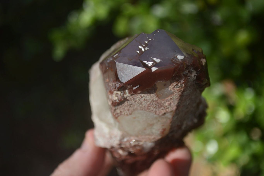 Natural Red Hematoid Quartz Specimens x 3 From Karoi, Zimbabwe - Toprock Gemstones and Minerals 