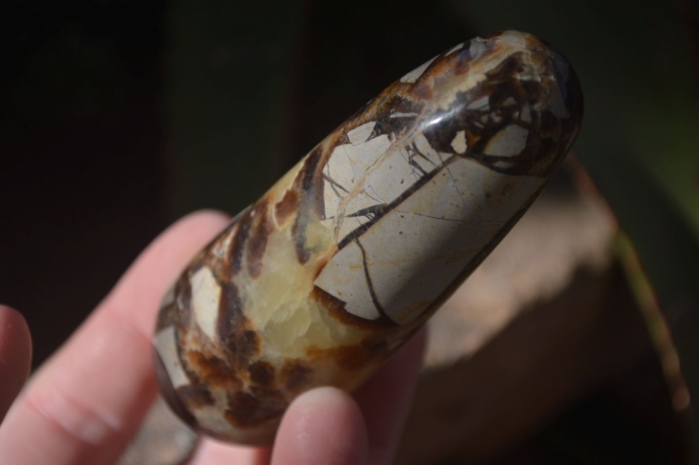 Polished Septerye Massage Wands x 6 From Madagascar - Toprock Gemstones and Minerals 