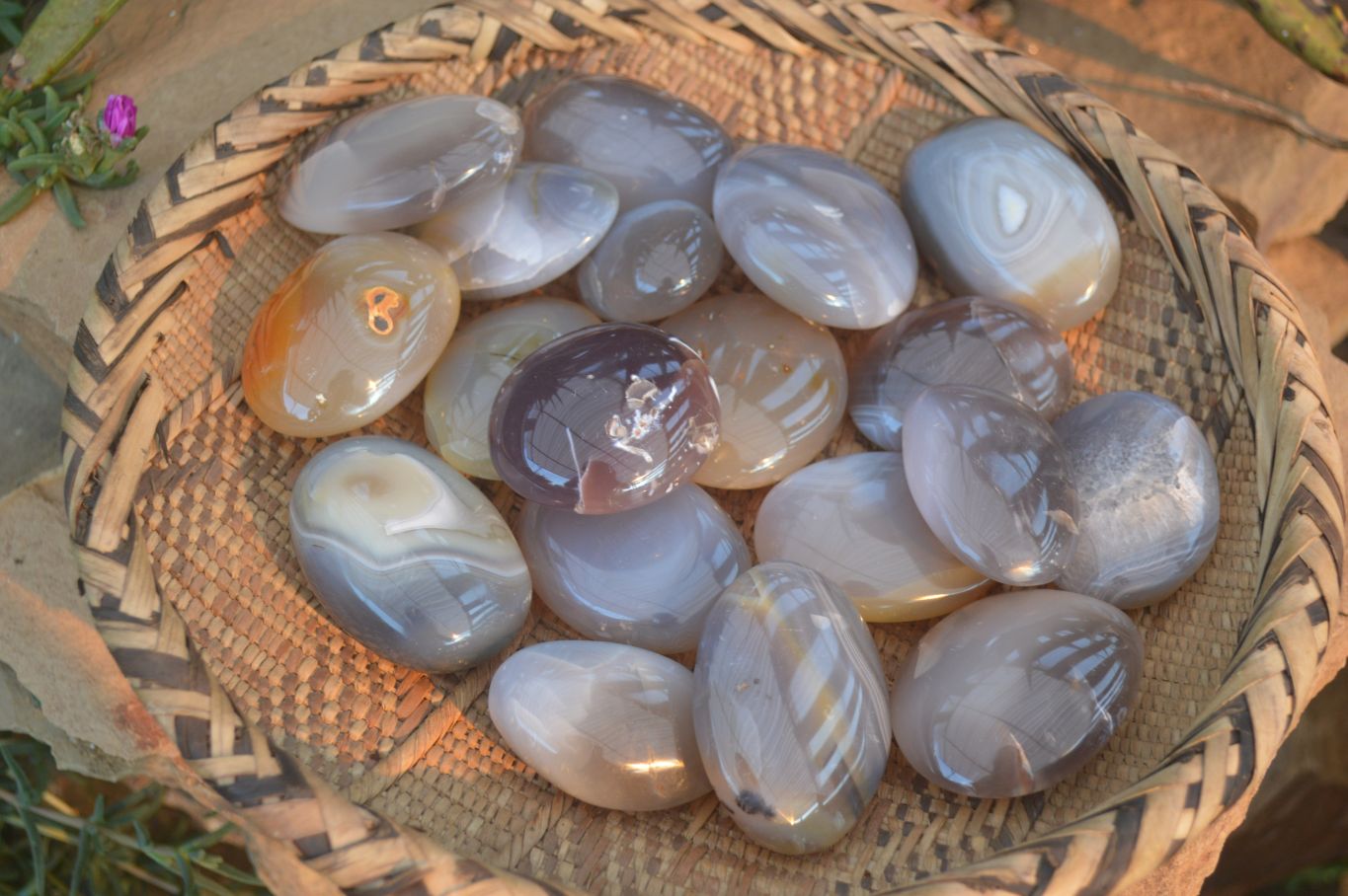 Polished Large Agate Palm Stones  x 1.8 Kg Lot From Madagascar - Toprock Gemstones and Minerals 
