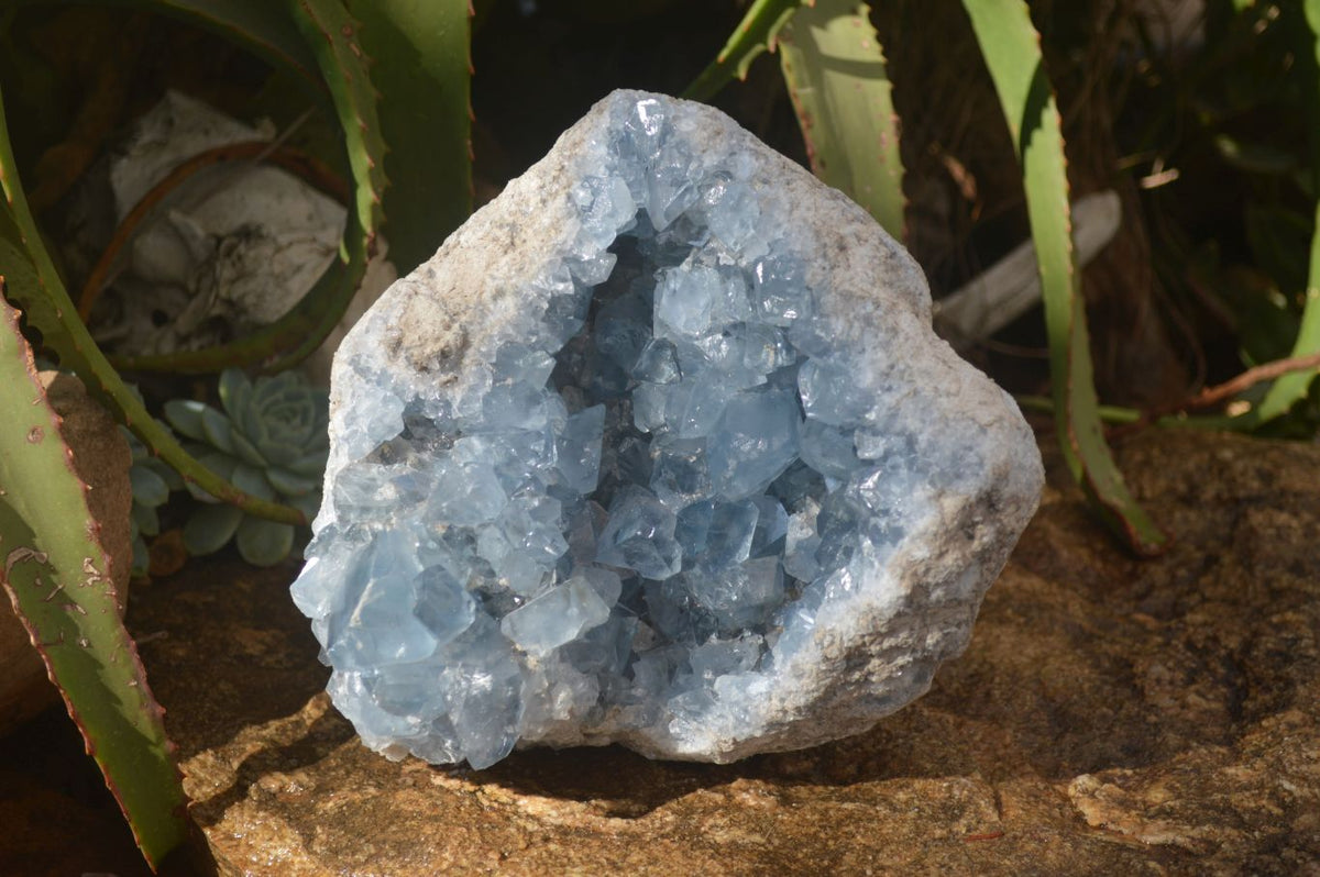 Natural Large Blue Celestite Geode Specimen  x 1 From Sakoany, Madagascar - Toprock Gemstones and Minerals 
