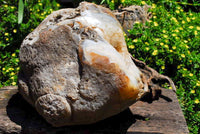 Polished Extra Large Crystal Cantered Agate Geode x 1 From Madagascar - Toprock Gemstones and Minerals 