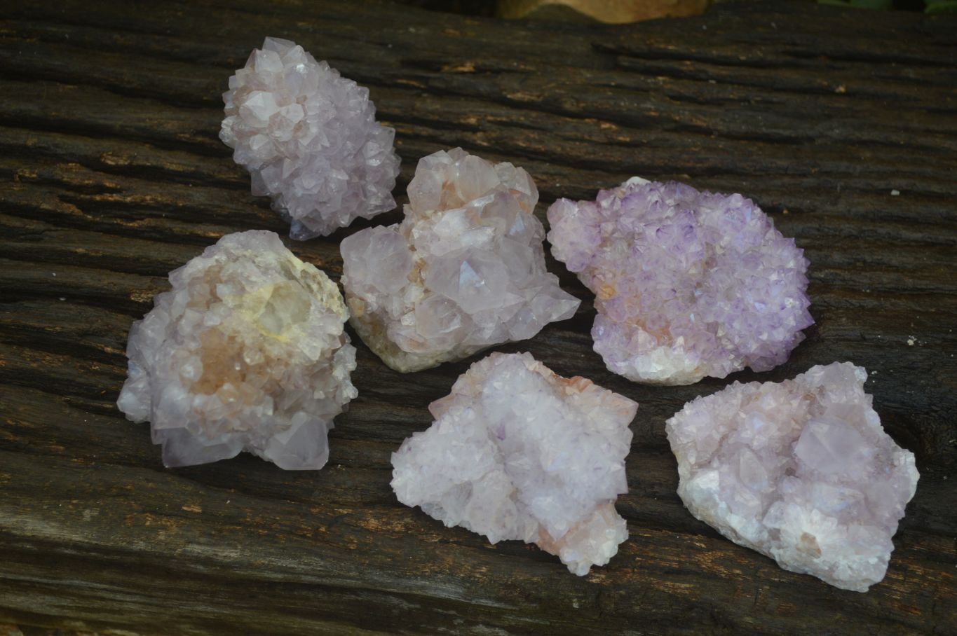 Natural Spirit Amethyst Quartz Clusters x 6 From Boekenhouthoek, South Africa - Toprock Gemstones and Minerals 