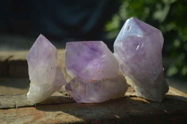 Natural Jacaranda Amethyst Clusters  x 6 From Mumbwa, Zambia - Toprock Gemstones and Minerals 