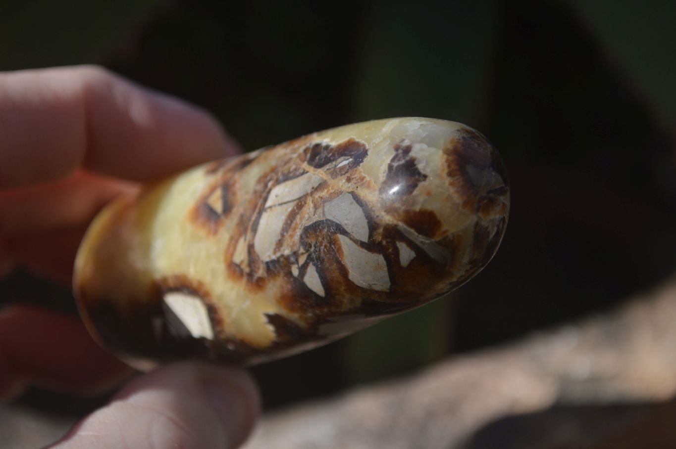 Polished Septerye Massage Wands x 6 From Madagascar - Toprock Gemstones and Minerals 