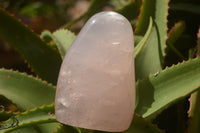 Polished Pink Rose Quartz Standing Free Forms x 2 From Ambatondrazaka, Madagascar - TopRock