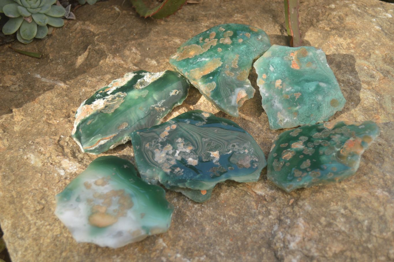 Polished One Side Polished Emerald Mtorolite Plates  x 6 From Zimbabwe - Toprock Gemstones and Minerals 