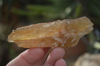 Natural Honey Aragonite Etched & Cobbed Pieces  x 12 From Namibia - Toprock Gemstones and Minerals 