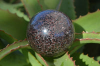 Polished Red Pyrope Garnet Matrix Spheres  x 2 From Madagascar - Toprock Gemstones and Minerals 