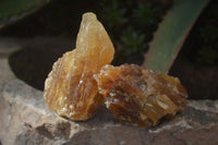 Natural Honey Aragonite Etched & Cobbed Pieces  x 12 From Namibia - Toprock Gemstones and Minerals 