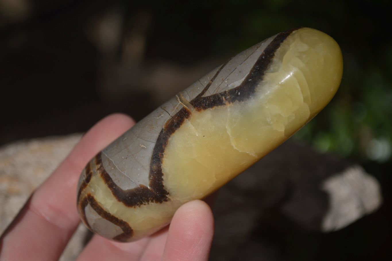 Polished Septerye Massage Wands x 6 From Madagascar - Toprock Gemstones and Minerals 