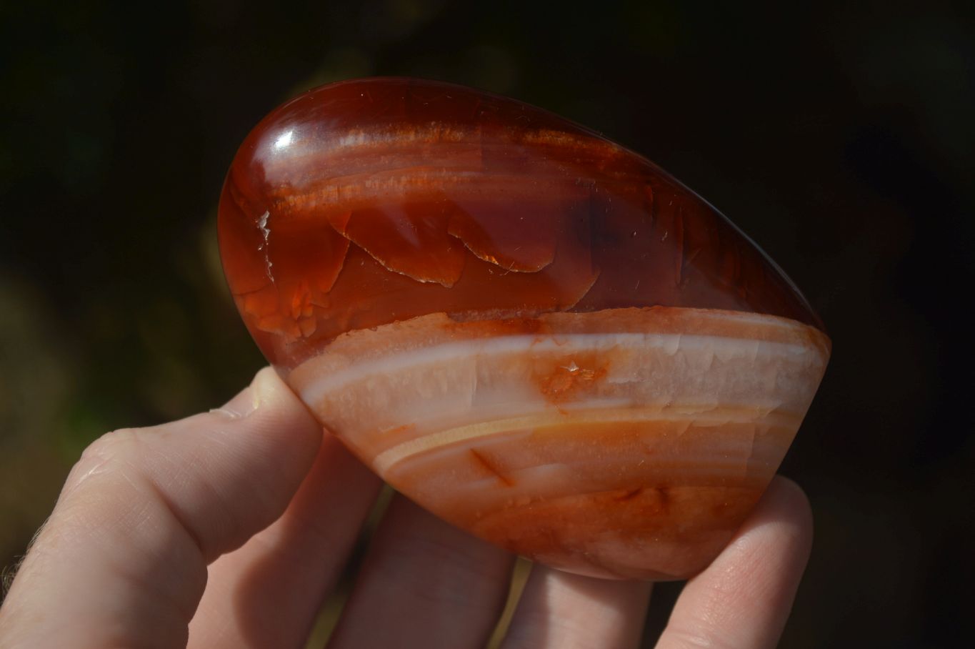 Polished Carnelian Agate Standing Free Forms  x 6 From Madagascar - Toprock Gemstones and Minerals 