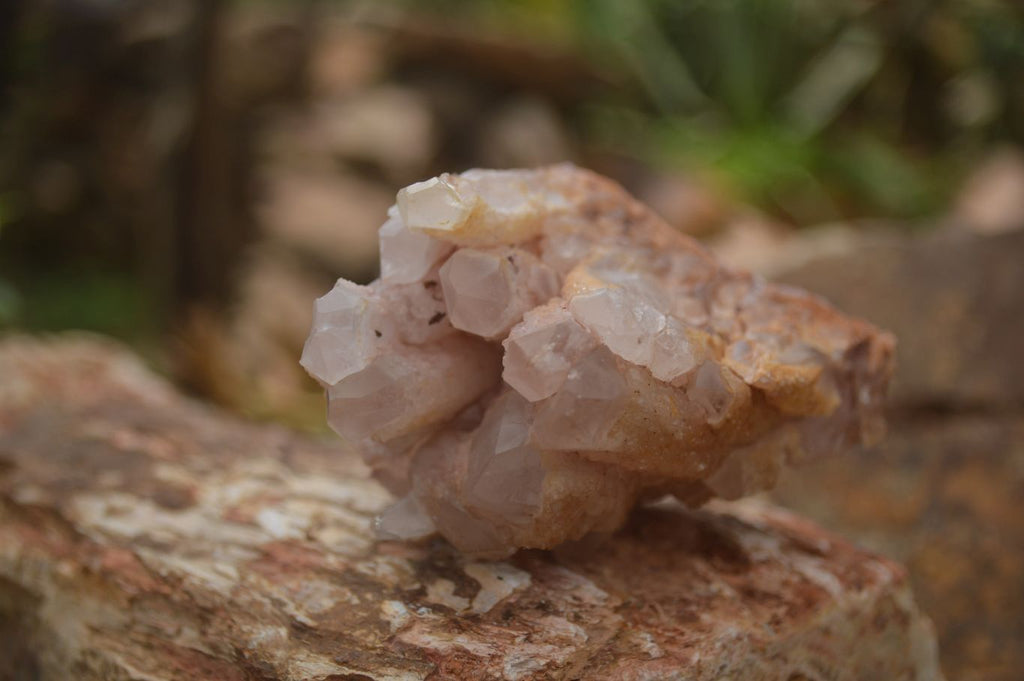 Natural Candle Quartz Clusters  x 5 From Madagascar - TopRock