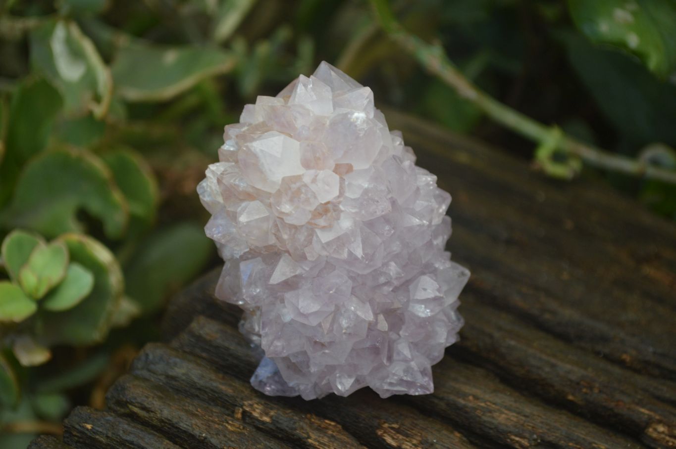 Natural Spirit Amethyst Quartz Clusters x 6 From Boekenhouthoek, South Africa - Toprock Gemstones and Minerals 