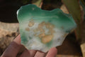 Polished One Side Polished Emerald Mtorolite Plates  x 6 From Zimbabwe - Toprock Gemstones and Minerals 