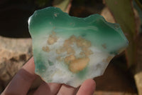 Polished One Side Polished Emerald Mtorolite Plates  x 6 From Zimbabwe - Toprock Gemstones and Minerals 