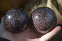 Polished Red Pyrope Garnet Matrix Spheres  x 2 From Madagascar - Toprock Gemstones and Minerals 