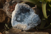 Natural Large Blue Celestite Geode Specimen  x 1 From Sakoany, Madagascar - Toprock Gemstones and Minerals 
