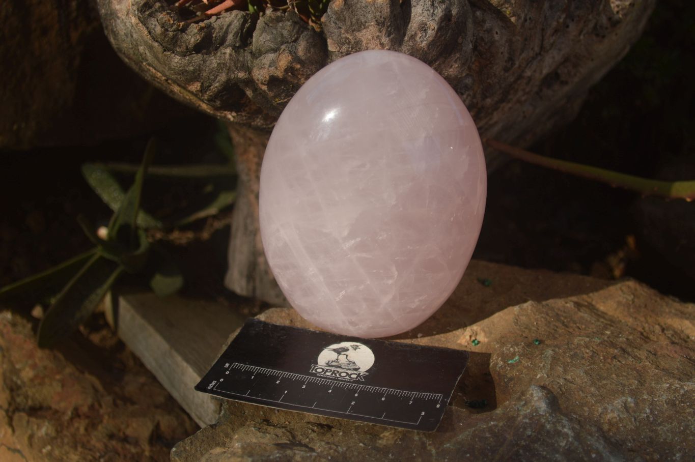 Polished Pink Rose Quartz Standing Free Forms x 3 From Antsirabe, Madagascar - Toprock Gemstones and Minerals 