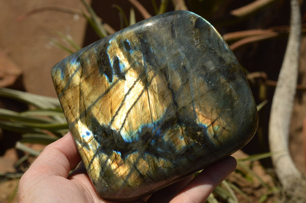 Polished Labradorite Standing Free Forms With Intense Blue & Gold Flash x 2 From Sakoany, Madagascar - TopRock