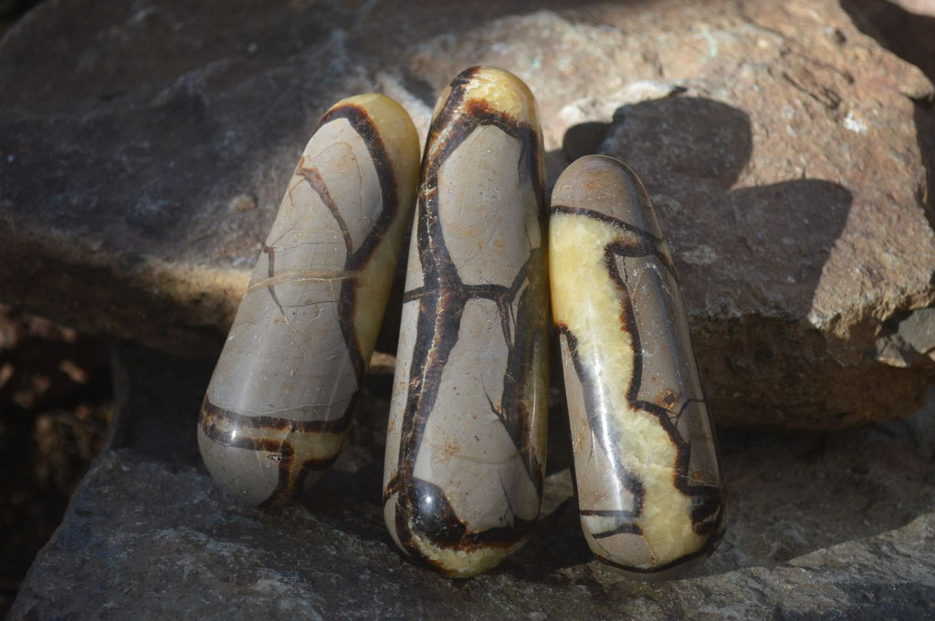 Polished Septerye Massage Wands x 6 From Madagascar - Toprock Gemstones and Minerals 