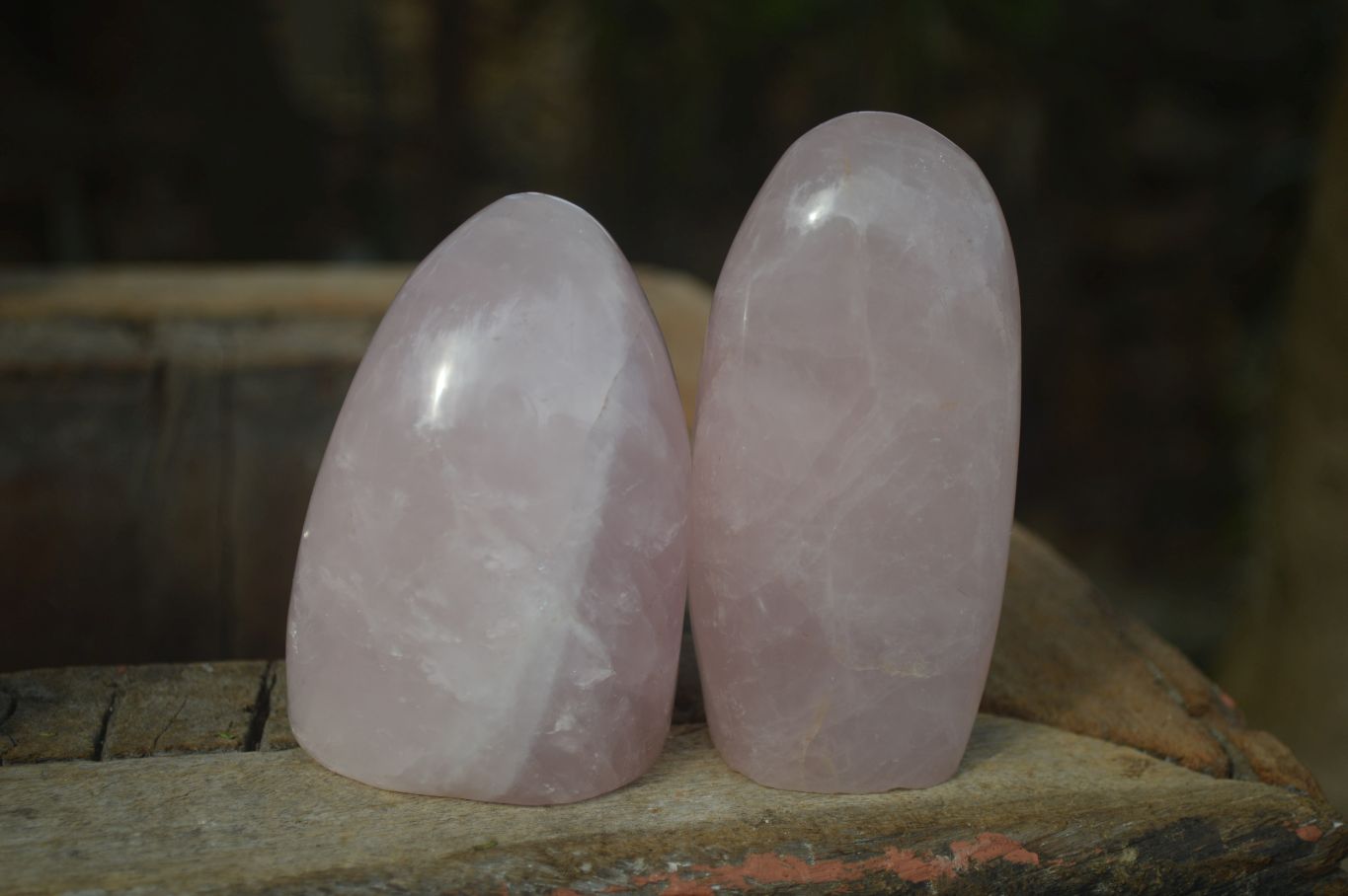 Polished Pink Rose Quartz Standing Free Forms  x 4 From Madagascar - Toprock Gemstones and Minerals 