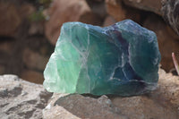 Polished Watermelon Fluorite Slices  x 2 From Uis, Namibia