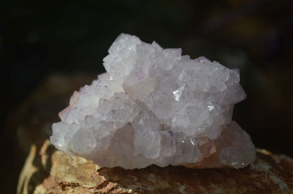 Natural Spirit Amethyst Quartz Clusters x 6 From Boekenhouthoek, South Africa - Toprock Gemstones and Minerals 