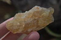 Natural Honey Aragonite Etched & Cobbed Pieces  x 12 From Namibia - Toprock Gemstones and Minerals 