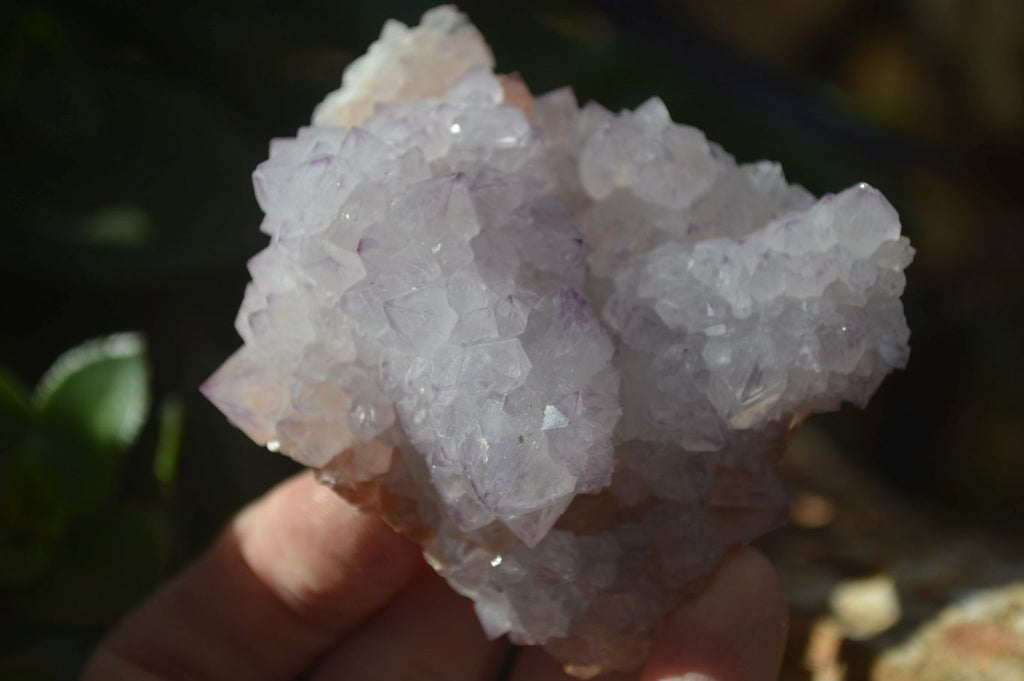 Natural Spirit Amethyst Quartz Clusters x 6 From Boekenhouthoek, South Africa - Toprock Gemstones and Minerals 