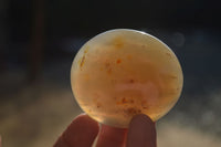 Polished Large Agate Palm Stones  x 1.8 Kg Lot From Madagascar