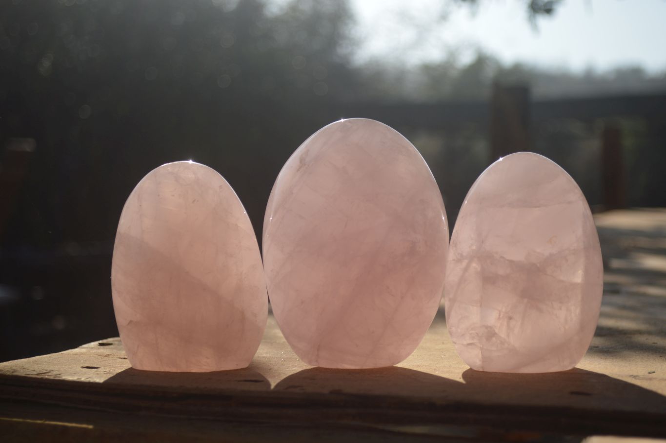 Polished Pink Rose Quartz Standing Free Forms x 3 From Antsirabe, Madagascar - Toprock Gemstones and Minerals 