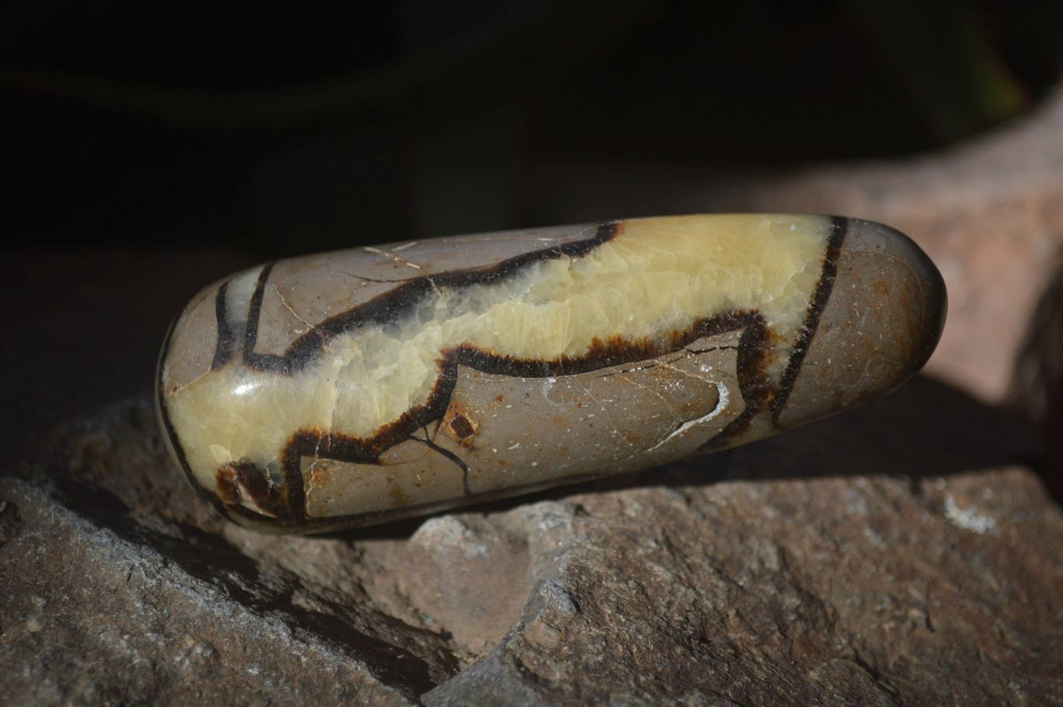 Polished Septerye Massage Wands x 6 From Madagascar - Toprock Gemstones and Minerals 