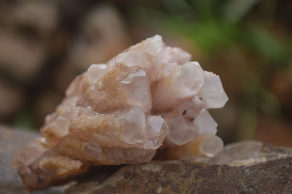Natural Candle Quartz Clusters  x 5 From Madagascar - TopRock