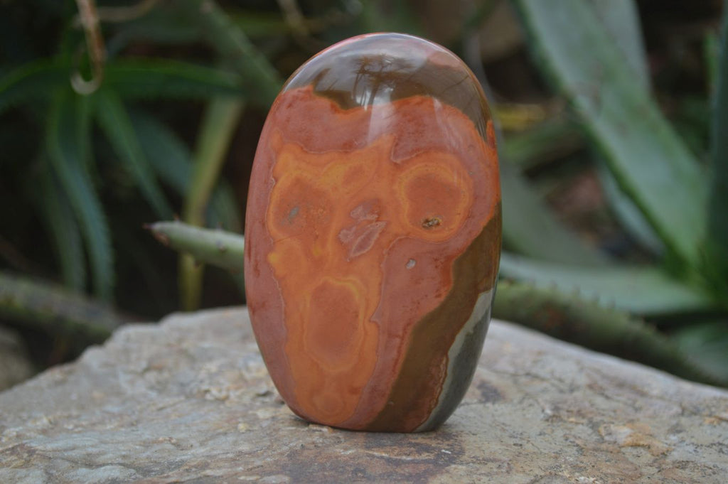 Polished Polychrome Jasper Standing Free Forms  x 4 From Mahajanga, Madagascar - Toprock Gemstones and Minerals 