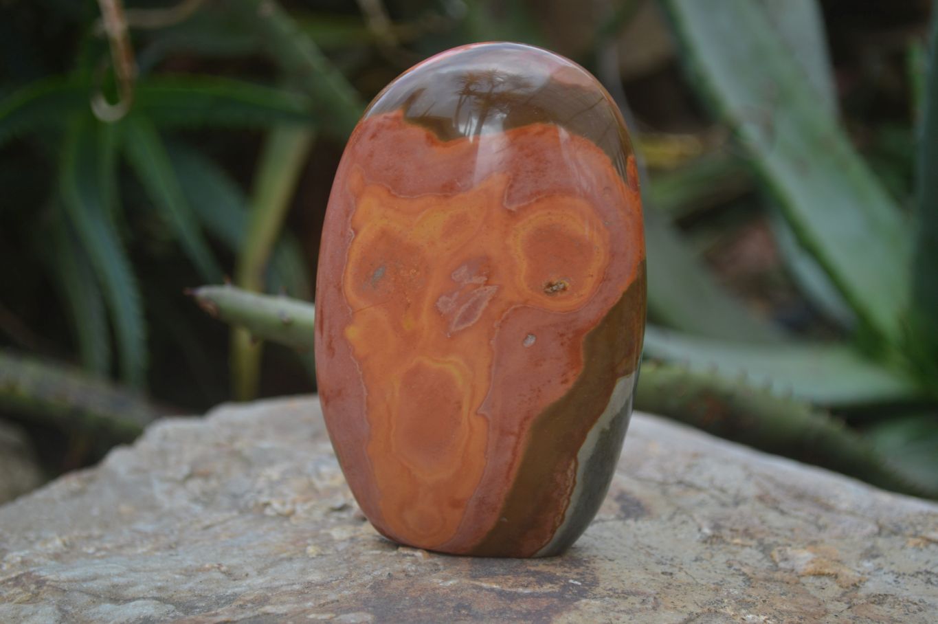 Polished Polychrome Jasper Standing Free Forms  x 4 From Mahajanga, Madagascar - Toprock Gemstones and Minerals 