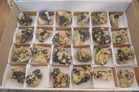 Natural Schorl Black Tourmaline In Vermiculite Mica Specimens x 24 From Erongo, Namibia