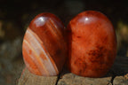 Polished Carnelian Agate Standing Free Forms  x 6 From Madagascar - Toprock Gemstones and Minerals 