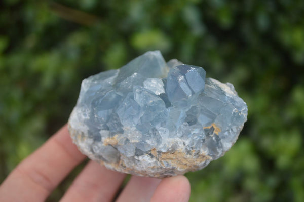 Natural Blue Celestite Crystal Specimens  x 4 From Madagascar - Toprock Gemstones and Minerals 