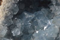 Natural Large Blue Celestite Geode Specimen  x 1 From Sakoany, Madagascar - Toprock Gemstones and Minerals 