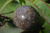 Polished Red Pyrope Garnet Matrix Spheres  x 2 From Madagascar - Toprock Gemstones and Minerals 