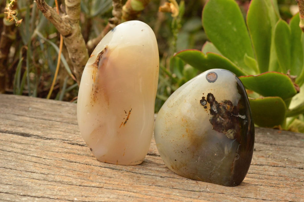 Polished Dendritic Agate Standing Free Forms  x 4 From Moralambo, Madagascar - TopRock